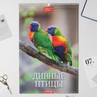 Календарь перекидной на ригеле "Дивные птицы" 2022 год, 320х480 мм - Фото 1