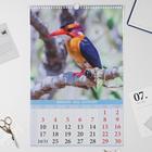Календарь перекидной на ригеле "Дивные птицы" 2022 год, 320х480 мм - Фото 2