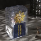 Светодиодная фигура под куполом «Снеговик» 6 × 9.5 × 6 см, дерево, батарейки LR1130х3, свечение тёплое белое - Фото 4