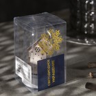 Светодиодная фигура под куполом «Домик Санты» 6 × 9.5 × 6 см, дерево, батарейки LR1130х3, свечение тёплое белое - Фото 4