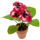 композиция в горшке 21*9 см анютины глазки - Фото 1