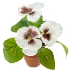 композиция в горшке 21*9 см анютины глазки - Фото 2