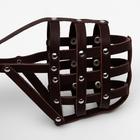 Намордник № 3, немецкая овчарка сука (длина по носу 9 см, обхват морды 32 см), коричневый - Фото 3