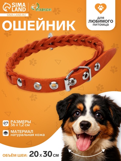 Ошейник, 1.2×36 см, ОШ 20-30 см, плетёный, кожа, оранжевый