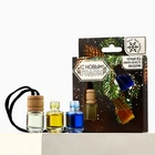 Ароматизаторы в машину «Крепость и выдержка», черный лёд, зимняя свежесть, мандарин, набор 3 шт - Фото 2