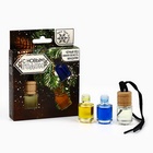 Ароматизаторы в машину «Крепость и выдержка», черный лёд, зимняя свежесть, мандарин, набор 3 шт - Фото 3