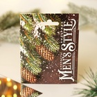 Ароматизаторы в машину «Крепость и выдержка», черный лёд, зимняя свежесть, мандарин, набор 3 шт - Фото 7