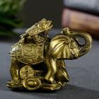 Фигура "Слон на деньгах" состаренное золото, 10х8,5х6см - Фото 4