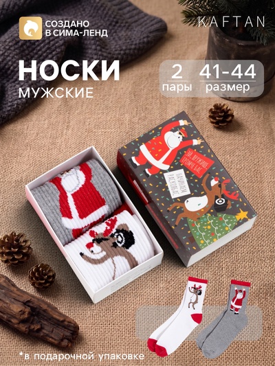 Носки мужские новогодние KAFTAN Santa, 2 пары, размер 41-44 (27-29 см)