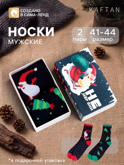 Носки мужские новогодние KAFTAN Chill, набор 2 пары, размер 41-44 (27-29 см)