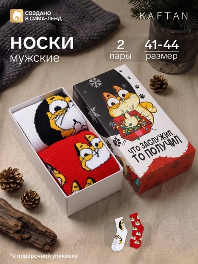 Носки мужские новогодние KAFTAN «Кот», 2 пары, размер 41-44 (27-29 см)