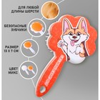 Расчёска для животных «Корги», цвета МИКС - Фото 2