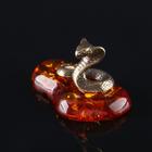 Сувенир "Кобра маленькая", латунь, янтарная смола, 1,5х2,1х1,5 см - фото 21289126