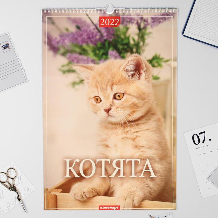 Календарь перекидной на ригеле "Котята" 2022 год, 320х480 мм - Фото 1