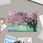 Карманный календарь "Природа - 4" 2025 год, 7х10 см, МИКС - Фото 6