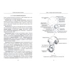Основы анатомии человека. Негашева М.А., Славолюбова И.А., Дробышевский С.В., Синева И.М. - Фото 2