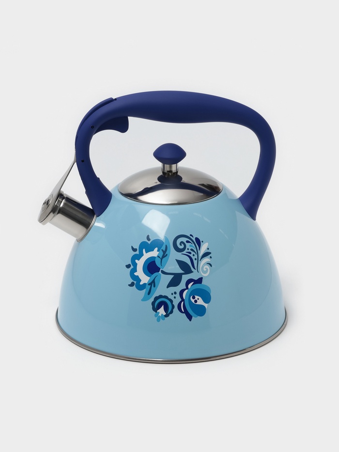 Чайник Доляна «Свиристель», 3 л, со свистком, нержавеющая сталь, голубой - Фото 1