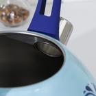 Чайник со свистком из нержавеющей стали Доляна «Свиристель», 3 л, цвет голубой - Фото 5