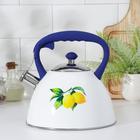 Чайник со свистком из нержавеющей стали Доляна «Лимоны», 3 л - Фото 1