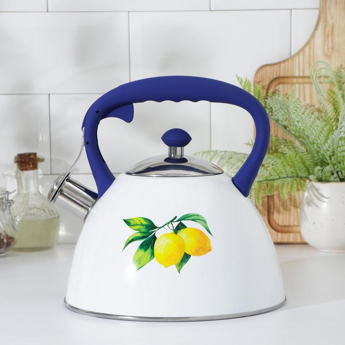 Чайник со свистком из нержавеющей стали Доляна «Лимоны», 3 л - Фото 1