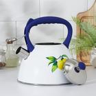 Чайник со свистком из нержавеющей стали Доляна «Лимоны», 3 л - Фото 2