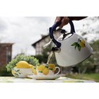 Чайник со свистком из нержавеющей стали Доляна «Лимоны», 3 л - Фото 11