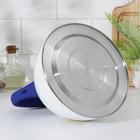 Чайник со свистком из нержавеющей стали Доляна «Лимоны», 3 л - Фото 3