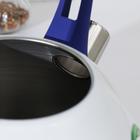 Чайник со свистком из нержавеющей стали Доляна «Лимоны», 3 л - Фото 5