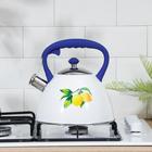 Чайник со свистком из нержавеющей стали Доляна «Лимоны», 3 л - Фото 6