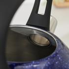 Чайник со свистком из нержавеющей стали Доляна «Космос», 3 л, синий - Фото 3