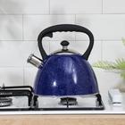 Чайник со свистком из нержавеющей стали Доляна «Космос», 3 л, синий - Фото 6