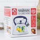 Чайник со свистком из нержавеющей стали Доляна «Космос», 3 л, синий - Фото 7