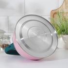 Чайник со свистком из нержавеющей стали Доляна «Тропики», 3 л, цвет розовый - Фото 4