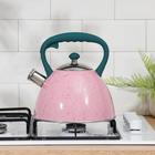 Чайник со свистком из нержавеющей стали Доляна «Тропики», 3 л, цвет розовый - Фото 6