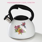 Чайник Доляна «Колибри», 3 л, со свистком, с индикатором нагрева, нержавеющая сталь, белый - Фото 2