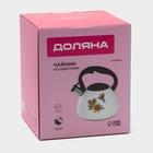 Чайник Доляна «Колибри», 3 л, со свистком, с индикатором нагрева, нержавеющая сталь, белый - Фото 14