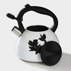 Чайник Доляна «Колибри», 3 л, со свистком, с индикатором нагрева, нержавеющая сталь, белый - Фото 5