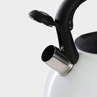 Чайник Доляна «Колибри», 3 л, со свистком, с индикатором нагрева, нержавеющая сталь, белый - Фото 7