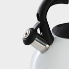 Чайник Доляна «Сердце», 3 л, со свистком, с индикатором нагрева, нержавеющая сталь, белый - Фото 7