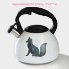 Чайник Доляна «Лиса», 3 л, со свистком, с индикатором нагрева, нержавеющая сталь, белый - Фото 2