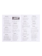 Домашний кукольный театр «Маша и медведь», 6 кукол-перчаток, сценарий в стихах - Фото 6