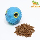 Квакающий мяч для собак, жёсткий, 7,5 см, голубой - фото 9194160