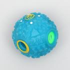 Квакающий мяч для собак, жёсткий, 7,5 см, голубой - фото 9194164