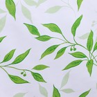 Клеёнка на стол на тканевой основе Доляна «Листья», ширина 137 см, рулон 20 м, толщина 0,22 мм, цвет белый - фото 6430771