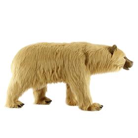 Сирийский медведь, 110 см