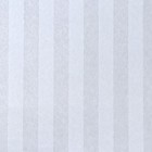 Бумага силиконизированная «Полоски», белые, для выпечки, 0,38 х 5 м - Фото 1