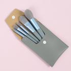 Набор кистей для макияжа «Парфе», 5 предметов, футляр на кнопке, цвет серый/голубой - фото 54719989