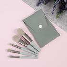 Набор кистей для макияжа «Парфе», 5 предметов, футляр на кнопке, цвет серый 5429271