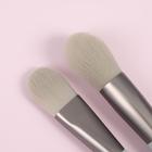 Набор кистей для макияжа «Парфе», 5 предметов, футляр на кнопке, цвет серый 5429271