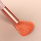 Набор кистей для макияжа «Мармеладка», 5 предметов, розовый - Фото 3